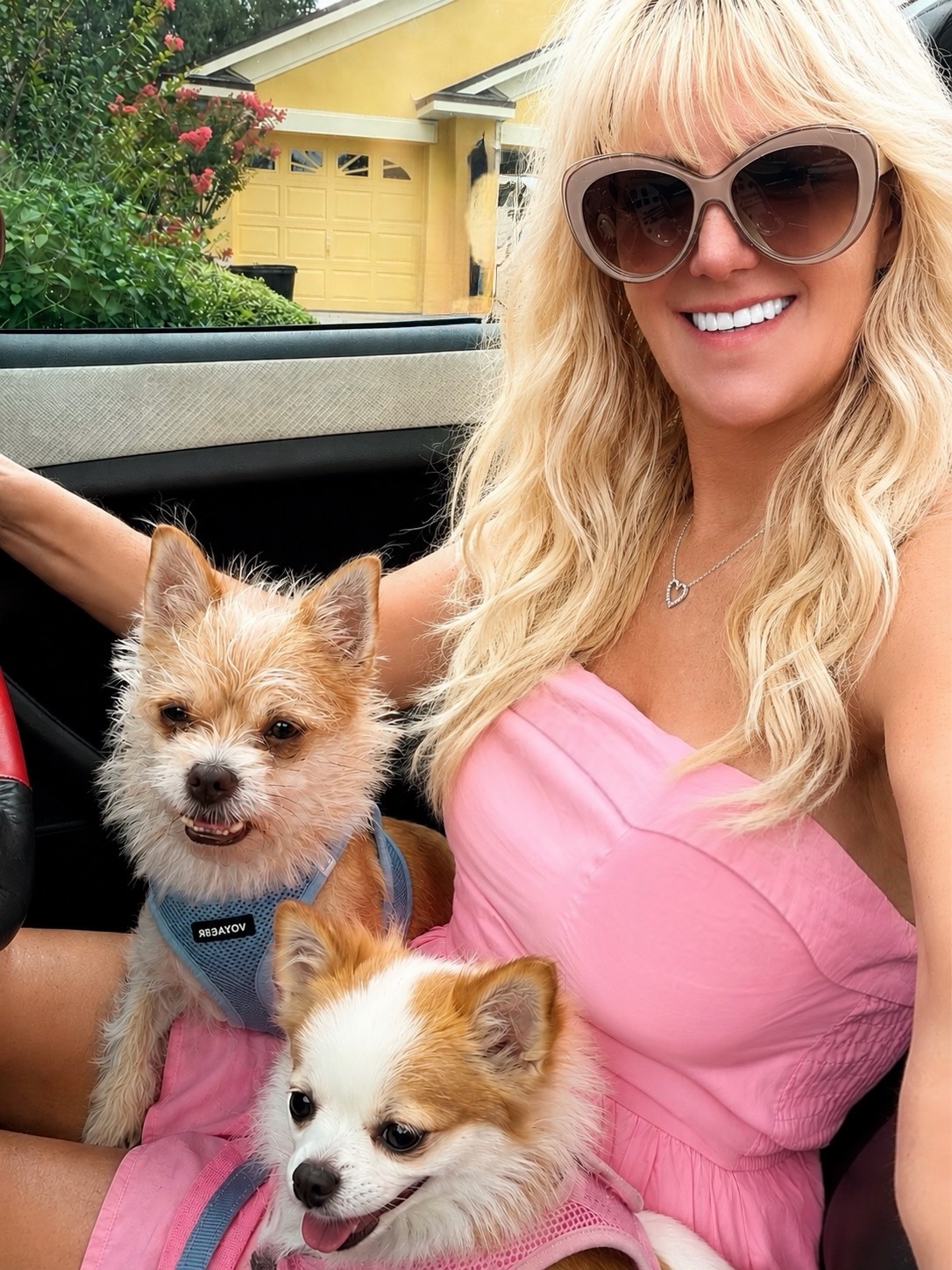Laura smiling in a pink dress with Rocky and Adrian sitting with her